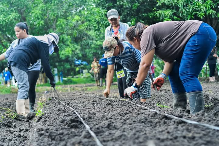 Photo of farmers in training